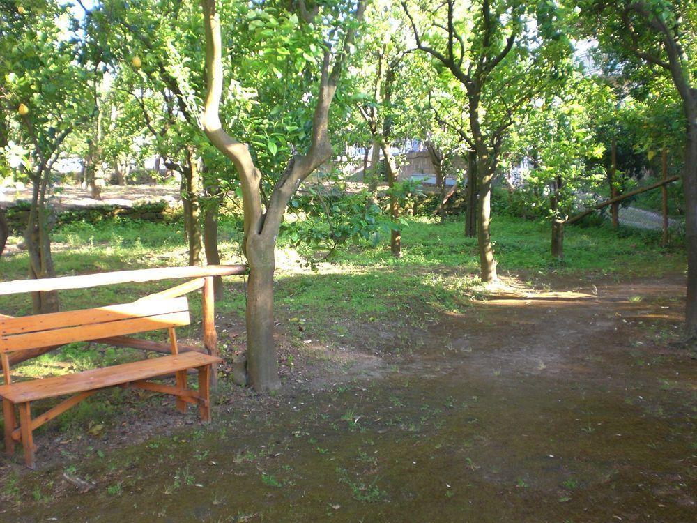 Chalet Paradiso Сорренто Екстер'єр фото